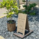 프롬 유니 이미지