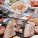 김해생고기 이미지