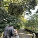 김영갑갤러리두모악미술관 이미지