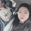 참맑은아침단체애견스파독채커플펜션 이미지