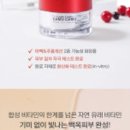뉴비타민 이미지