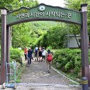 느티나무야영장 이미지