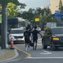 수원-0918 이미지