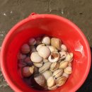 몽산포 휴림 이미지