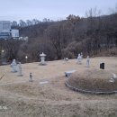 윤각장군 묘 이미지