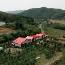 노루매기길(임동면) | 안동 호수에 담다 [애견동반 펜션] feat. 밤비 💛 새로