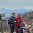 아듀~ 신축년을 보내며~ 소띠 산행 2탄 [달마산, 덕룡산] "1일 2산✌" 이미지