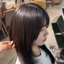 어진동보건복지부 | 세종시 어진동 미용실 하이레이어드·레이어드로 분위기 있고 볼륨 있게 정착할 미용실은 아이디헤어...