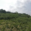 경신농장 이미지