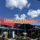 억짬뽕 | 담양 취향루 현지인이 가는 찐 짬뽕 맛집 대만족 후기