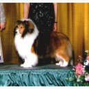 아이즈 오브 엔젤 이미지