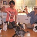 카페바른생활 이미지
