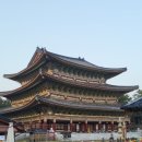 광전전기 | 제주 서귀포시 가볼만한 곳 약천사 방문 후기