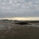 금강도서관 (옥내4) | 2025추석연휴 아이랑 전주여행(3편)-서해의 유네스코 세계자연유산을 만나다, 서천갯벌체험 후기