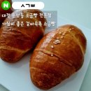 대덕대로249번길 | 대전 둔산동 소금빵 맛집 : 'ㅅㄱㅃ' 소금빵 내돈내산 솔직후기(대전맛집, 대전소금빵맛집)