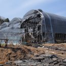 기봉농장 이미지