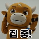 피피비피