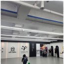 미르태권도장 이미지