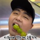 치푸 이미지