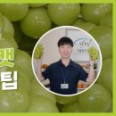 가화길 이미지