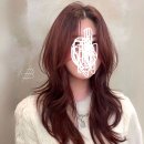 가위손가이 미용실 | 가위손 데뷔