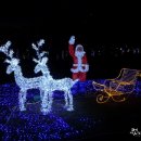 앞산네거리 교통섬 이미지