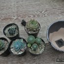 한화농원 이미지