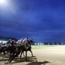 밸리댄스 야간 이미지