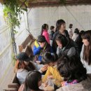 임실튀밥 이미지