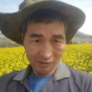 진도 무릉도원 이미지