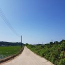 상두교 Daum카페