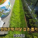 단독주택단지 (옥외1)55081 | 단독주택 잔디깎기 제초 작업 대행