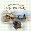 대문자P 속초여행 2박3일 (태교여행 with 찹쌀, 찰떡, 구름)