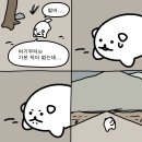 황금진땡이광주 | 6월 한달동안 있었던(결혼식 포함)이모저모 랜덤일상(1차)☘️