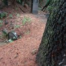 육신사(신) 이미지