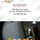 돼지엄마 한국경제