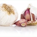 경북깐마늘 이미지