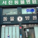 서진 동물병원 이미지