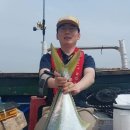 대부목장 이미지