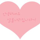 샬롬인더카페 이미지