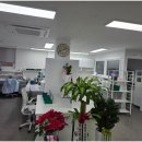 광진치과기공소 이미지