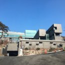 포레스트스파