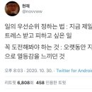 생활양재 이미지
