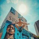 트루피티 이미지