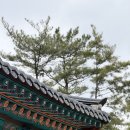 국수나무역북점 | 3월, 잘 될 거라고 믿는 편입니다. 근거는 없습니다. 🤞