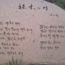 진도항 이미지