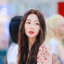 주라이브
