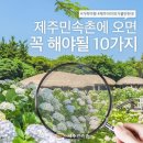 신안센터-21 | 6월 가볼만한곳 추천! 전국 2025 수국 축제 일정 총정리!