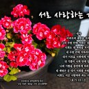 PICTURE&TEXT_20240526_서로 사랑하는 기쁨!_요한복음 15장 10-12절_삼위일체주일 묵상_사랑 가득한 '제라늄'_우리 이미지