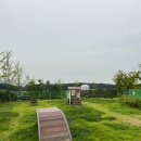 강아지 놀이터 이미지